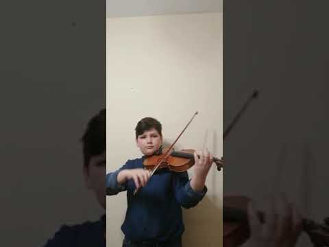 Lazăr Bogdan, Colegiul Național de Artă Octav Băncila, Iași, cl  a V a, 12 ani, Anul V de studiu, pi