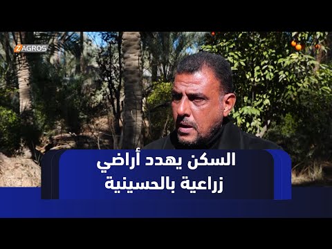 فيديو | #كربلاء.. الأراضي الزراعية في ناحية الحسينية مهددة بالتحول إلى مناطق سكنية