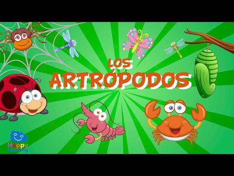 Los Artrópodos | Videos Educativos para Niños