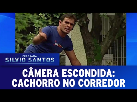 Cachorro no Corredor | Câmeras Escondidas (19/02/17)