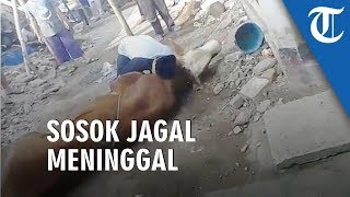Ini Dia Sosok Penjagal yang Meninggal Dunia saat Hendak Potong Hewan Kurban di Cimahi
