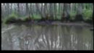 Sufjan Stevens-- The Lord God Bird