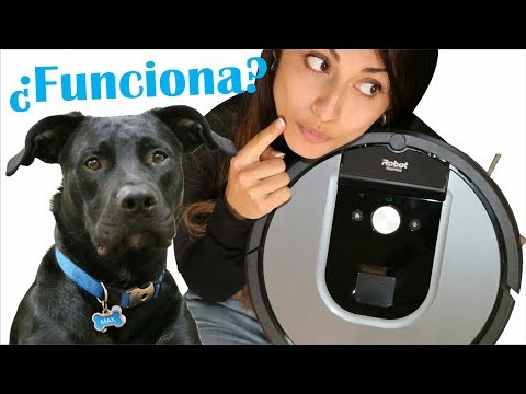 download lagu mp3 mp4 Roomba 960 Opiniones, download lagu Roomba 960 Opiniones gratis, unduh video klip Roomba 960 Opiniones