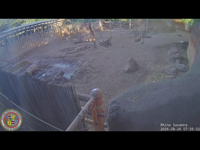 ホノルル動物園のサイ