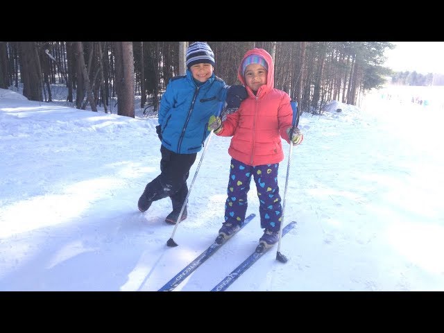 Fındık ailesi kayak yapıyor. Karda eğlenceli oyunlar