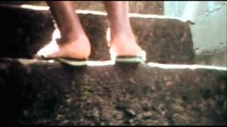 Nos olhos de Mariquinha