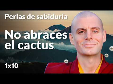 No abraces el cactus - Perlas de Sabiduría [Lección 1] (PARTE 4)| Lama Rinchen