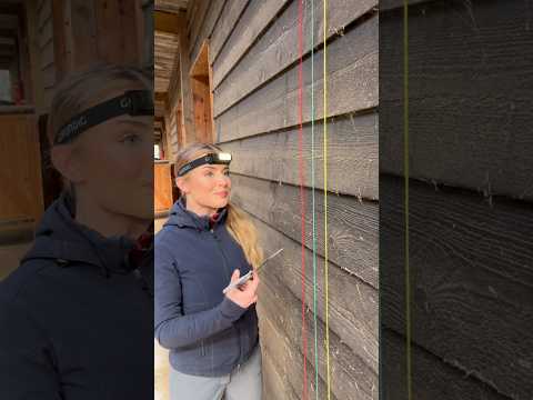 Last time I ask my stallion for help 😤🐴 #equestrian #horses #funnyhorse #funnyanimals #horserider