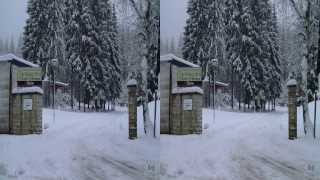 preview picture of video 'Real 3D: Wintertraum am Waldhotel Rennsteighöhe'