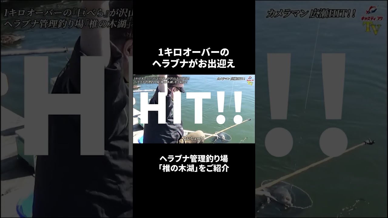 【解説盛り沢山！】「椎の木湖」で1キロオーバーのヘラブナ『巨べら』を狙おう！short