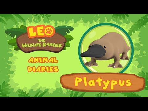 Witness21 Editor  2022 01 15