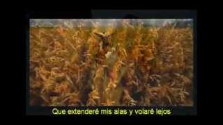 I Believe I Can Fly - Subtitulada Español.wmv