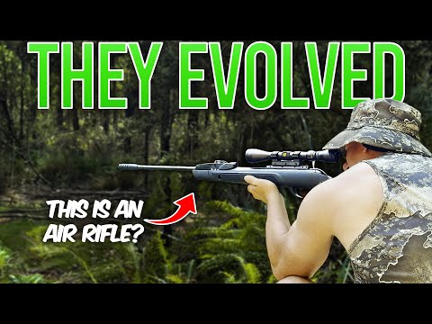 Modern Air Rifles Are INSANE! GAMO Swarm Magnum Gen3i
