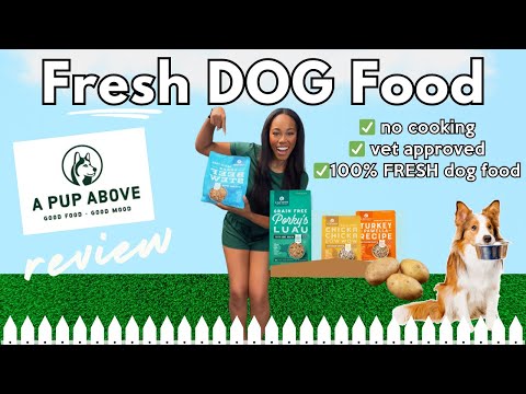 🐶A Pup Above' Dog Food – Yay or Nay?