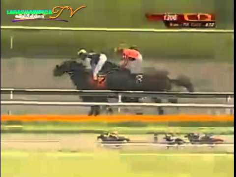 LA RINCONADA 1 CARRERA, DOMINGO 5 DE OCTUBRE DEL 2014