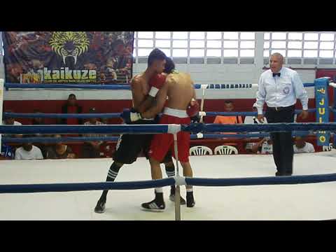 Cartelera de Boxeo Profesional