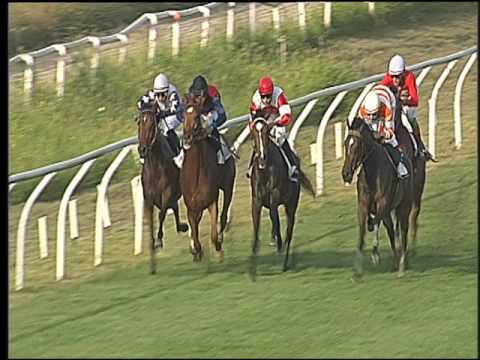 Galoppo 29/06/2016 - 3° corsa