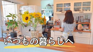 【３匹の犬との暮らし】お気に入りのニラ蕎麦と愛犬の通院｜50代主婦vlog