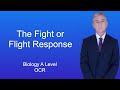 A Level Biology Revision (Year 13) "The Fight or Flight Response"