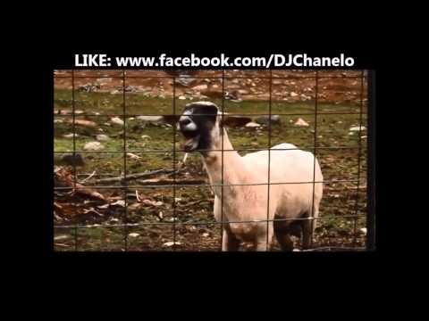 RONALDO SCREAM - GOAT - Do not Watch by DJ CHANELO