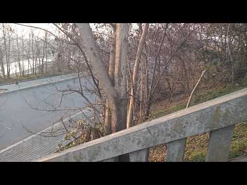 Team.kalas jako mi banda pagava te danda official