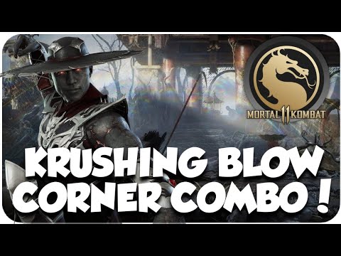 MK11: Kung Lao Tech! - Orbiting Hat Shaolin Drop Amplified Krushing Blow Corner Combo Tips