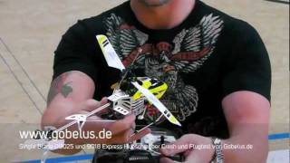 Single Blade D9025 und 9018 Express Hubschrauber Crash und Flugtest von Gobelus.de