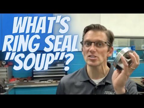What Is Ring Seal Soup?
