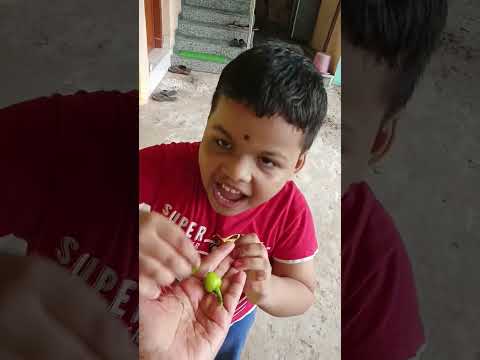 Duo peanut chocolate 🍫 mithai nahi mila 😭😥 cute baby shorts🥰💕#chocolate#viralvideo#shorts #tranding