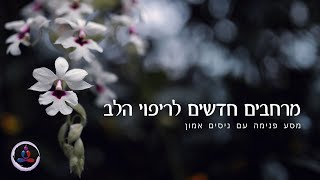 מרחבים חדשים לריפוי הלב, מסע פנימה עם ניסים אמון
