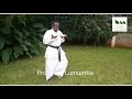 Prof. PLO Lumumba showing incredible Karate moves