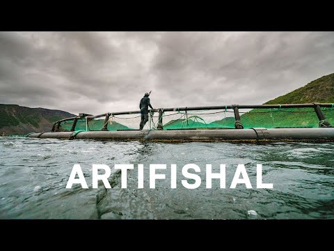 Artifishal | The Fight to Save Wild Salmon