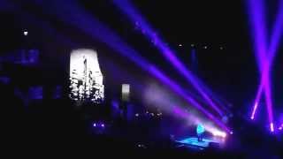 Broilers....(Wo es hingeht...Ist da jemand )