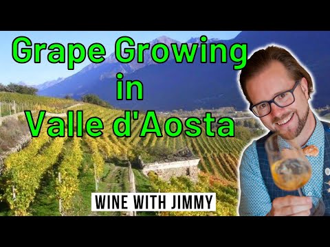 Everything you need to know about grape growing in Valle d'Aosta for WSET Level 4 Diploma