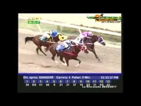 Resumen de las carreras del sabado 25/03/2017 La Rinconada