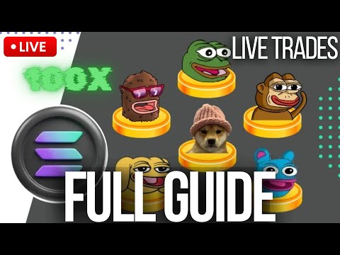 Complete Beginners Guide to Trading Memecoins