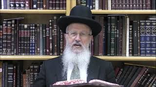 הגאון הרב אברהם יוסף שליט"א מה הם הדוגמאות שיהיה מותר לברך את ברכת שהחיינו בימי בין המצרים (הרב אברהם יוסף) - התמונה מוצגת ישירות מתוך אתר האינטרנט יוטיוב. זכויות היוצרים בתמונה שייכות ליוצרה. קישור קרדיט למקור התוכן נמצא בתוך דף הסרטון