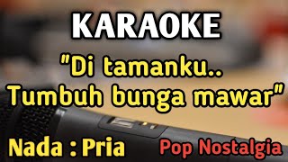 Download lagu BUNGA MAWAR - KARAOKE || NADA PRIA COWOK || Pop Nostalgia || Novia Kolopaking || Live Keyboard mp3