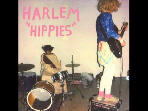 Harlem - Three Legged Dog