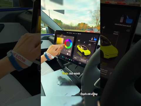 Cô gái thử đổi màu chiếc Tesla và cái kết khiến anh trai sững sờ! 😱