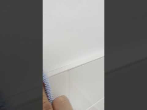 Green Fox Cleaning video.