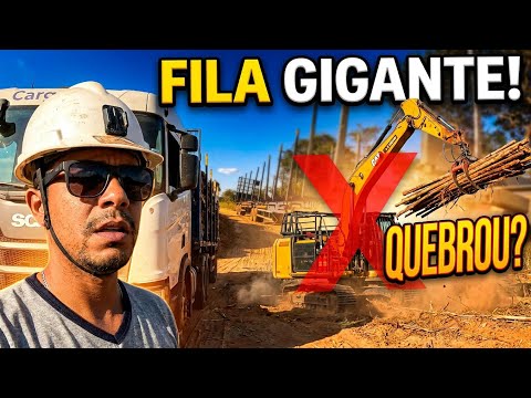 Fila Gigante e Máquina Quebrada: Carregando o Tritrem na Fazenda Canoas - MG