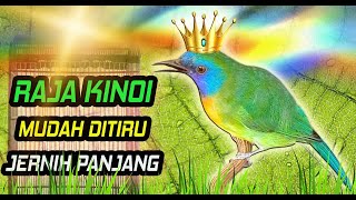 Download lagu Masteran Burung Kinoi Jernih Gacor Paling Ampuh mp3 Download lagu Masteran Burung Kinoi Jernih Gacor Paling Ampuh mp3