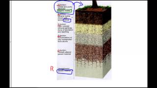Soil Horizons Explained