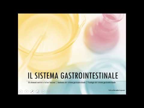 Il sistema gastrointestinale
