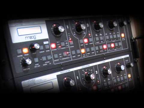 Two Moog Slim Phatty in daisy chain - Duophonic - Tetris C