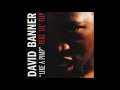 David Banner Like A Pimp