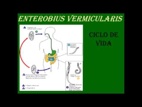 Strongyloidosis antitestek