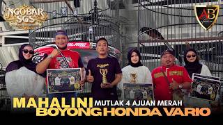 Download lagu MAHALINI mutlak 4 ajuan merah 🔴Boyong Honda Vario!! mp3 Download lagu MAHALINI mutlak 4 ajuan merah 🔴Boyong Honda Vario!! mp3