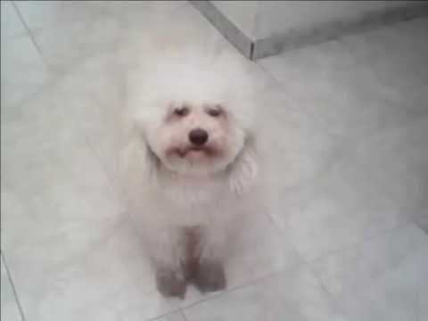 Electro POP MIX (2013)